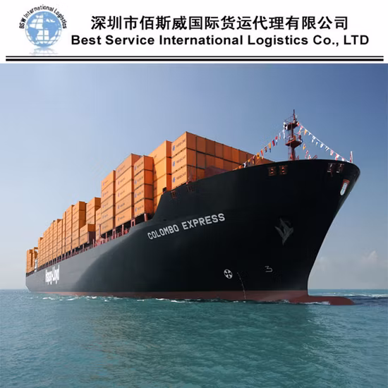 Agent d'expédition maritime de transitaire de la Chine aux services logistiques Fob de New York