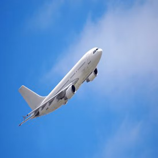 LCL Ocean Sea Freight Forwarder Container Cargo Transportation, 1688 Alibaba Express Air Logistics Service Amazon Fba Drop Shipping Agent Livraison à Fr Ge Jp